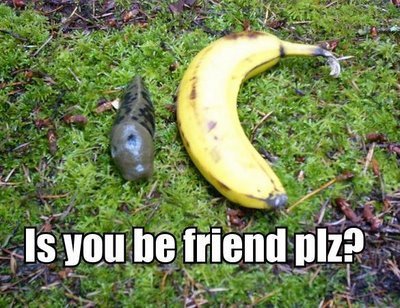  香蕉 slug