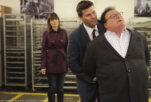  Bones - Episode 6.07 - Babe in the Bar - Promotional picha