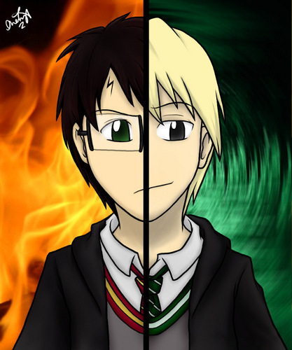  Draco Malfoy and Harry Potter!