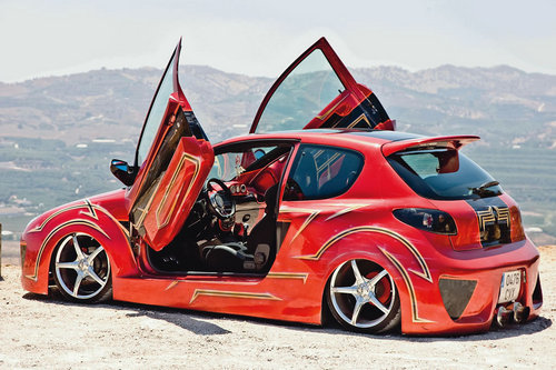 PEUGEOT 206 BY MAXI TUNING