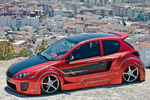  Peugeot 206 BY макси TUNING