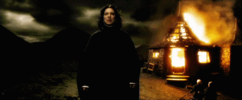 Severus Snape Animation Half-Blood Prince