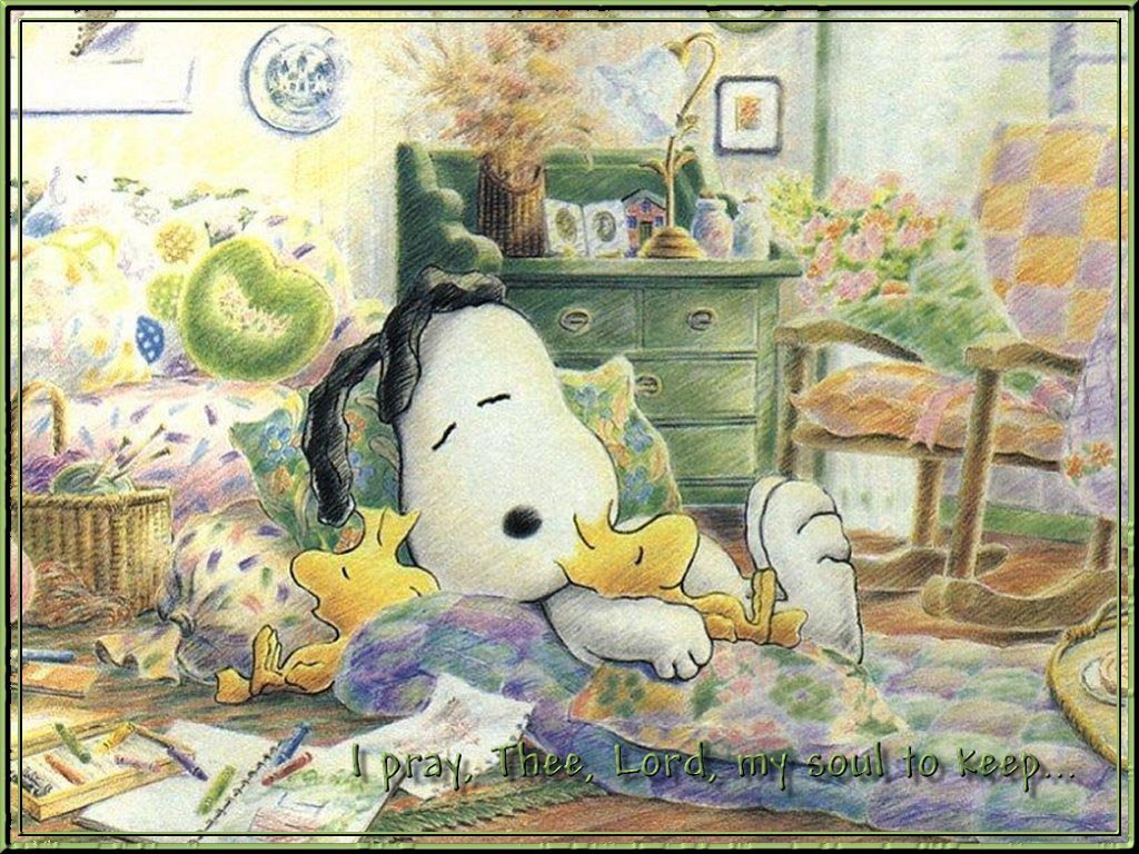 Snoopy Sleeping