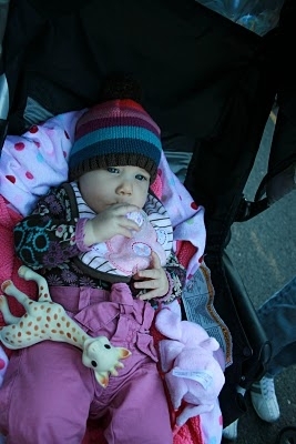  baby Renesmee in her stroller