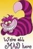  cheshire cat mad thỏ rừng, hare