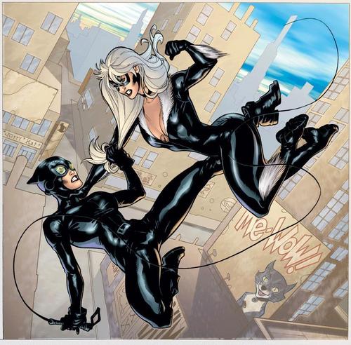  Catwoman Vs Black Cat