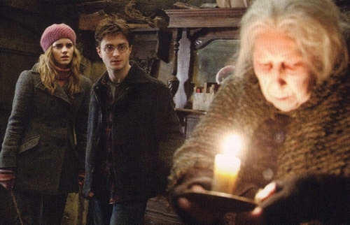  DH Harry and Hermione