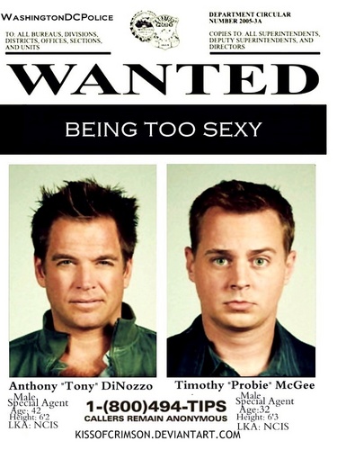  Tony & McGee- Wanted