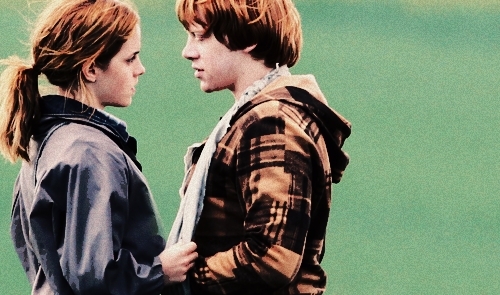  ron & hermione collection
