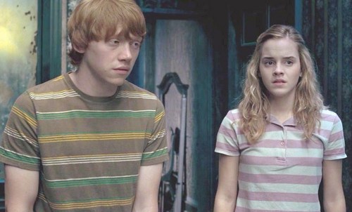  ron & hermione collection