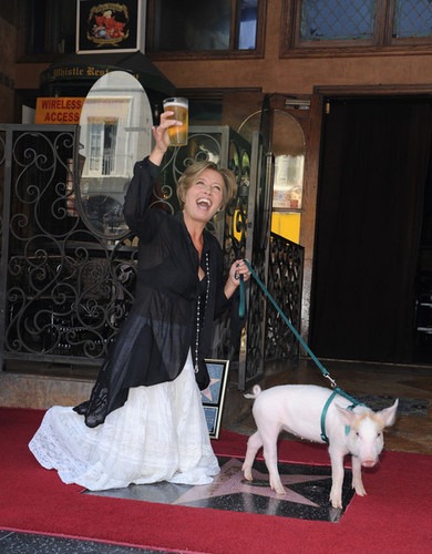  Emma Thompson Gets a stella, star on the Walk of Fame