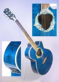  Jack Johnson signed gitar for auction!