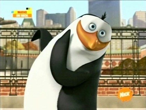  Rico The pinguin