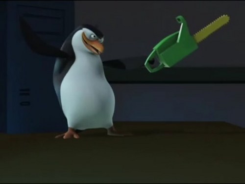  Rico The penguin, auk