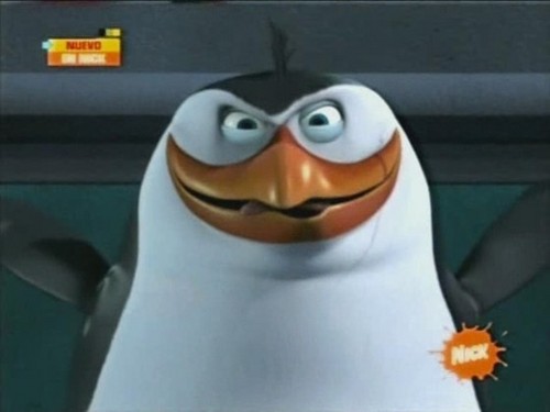  Rico The пингвин