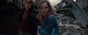  Ron and Hermione DH