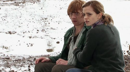  Ron and Hermione DH