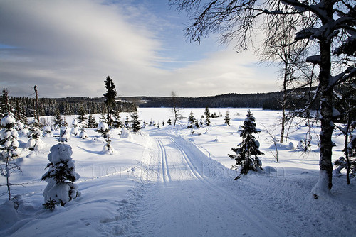  Winter in Norway! ♥