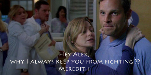  alex and meredith