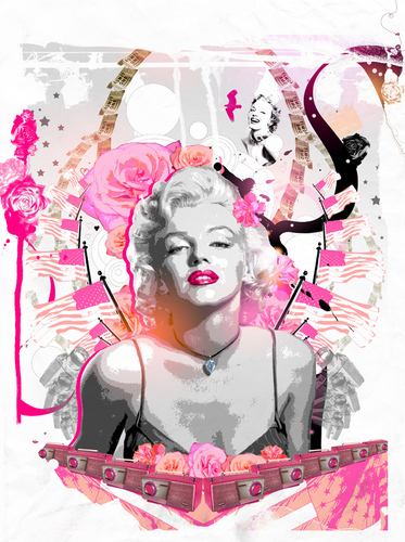  Marilyn Monroe American Rose