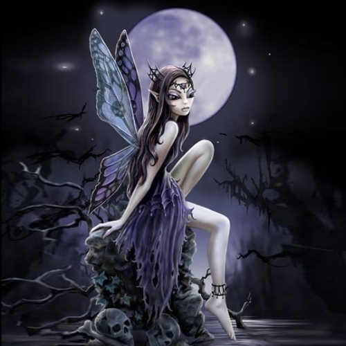  Midnight Fairy