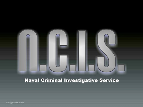 海军罪案调查处