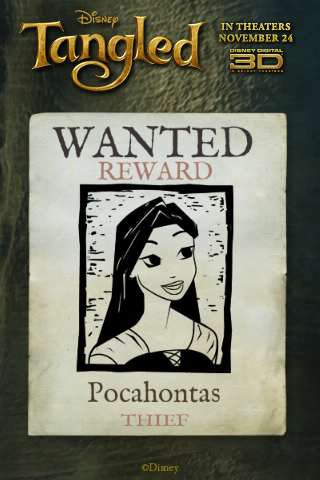 Princess Wanted Poster
