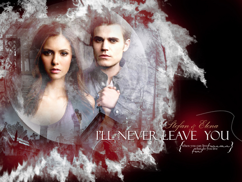 Stefan and Elena "I'll never leave you"
