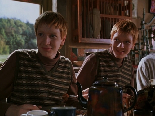 fred and george in chamber of secrets