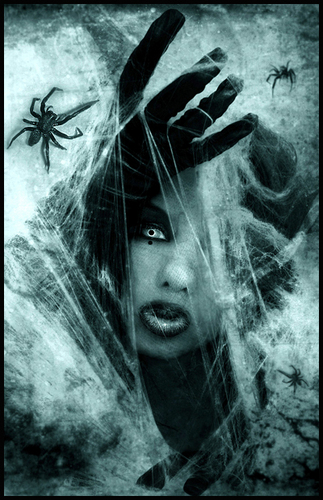  gothic labah-labah, laba-laba cinta
