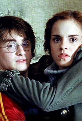  harry and hermione friendship in 4th ano