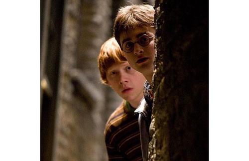 harry and ron in 6th year