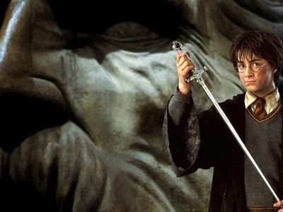  harry in the chamber of secrets