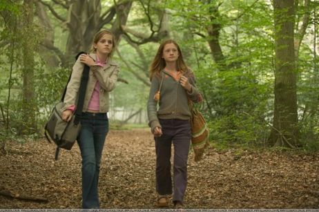  hermione and ginny 4th año