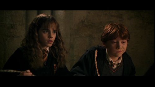  seconde jaar ron and hermione
