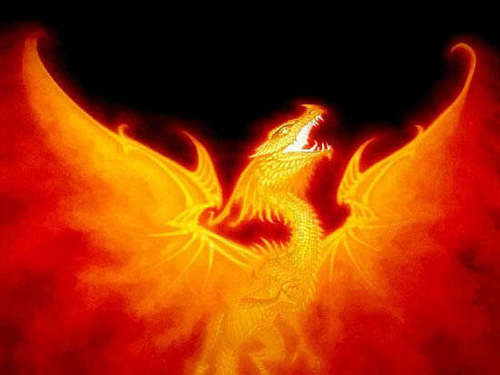  불, 화재 Dragon