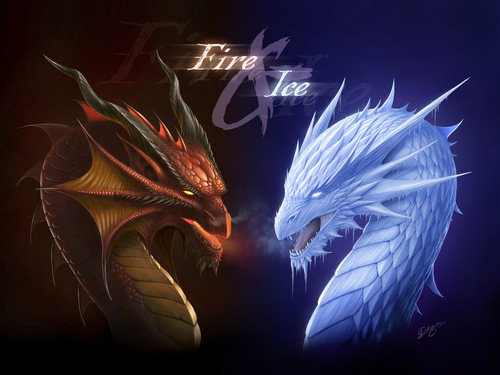  feu and Ice dragons