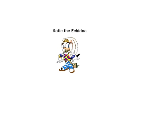  Katie The Echidna