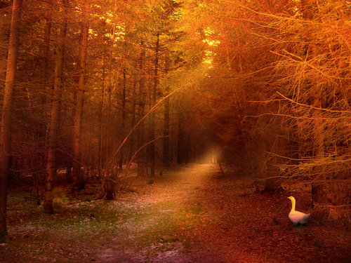  Magical Autumn (Sylvie's season)