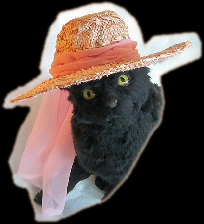  Salem in a Sun Hat