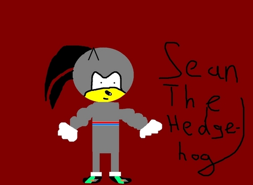  Sean the hedgehog (new look)