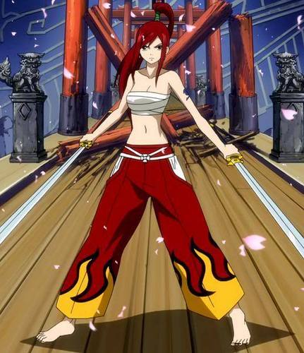  erza in armours