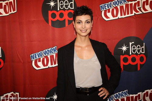  ''V'' Cast | 2010 NY Comic Con