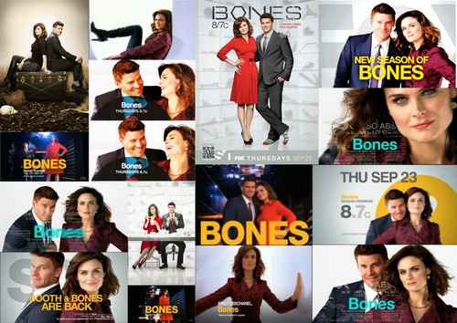 Brennan/Booth moments season 6 promo