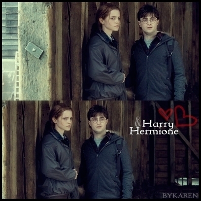DH Harry and Hermione