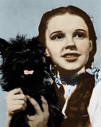  Dorothy and Toto