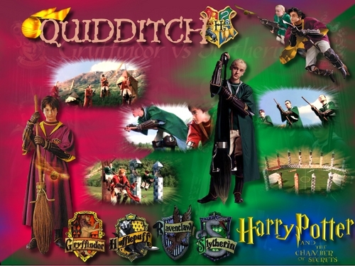  Hogwarts Quidditch