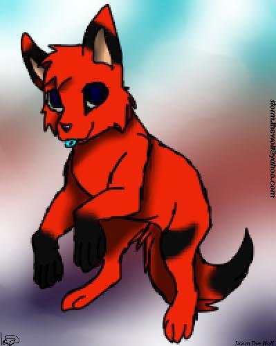  My adopted Chibi بھیڑیا Dash He is off of DeviantART Thats where I adopted him from so I drew a pic
