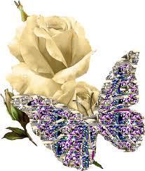 Rose and Butterfly