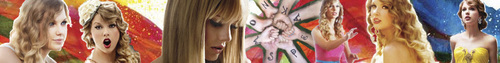 Taylor Swift banner